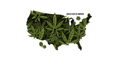 US Cannabis Policy in Flux: Key Federal & State Developments to Watch